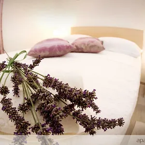 https://apartmani-murtilica-trogir.splithotels.org